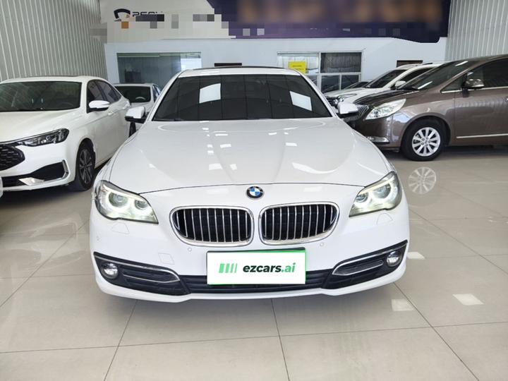 5 Series 2017 525Li Luxury Design Package photo 2