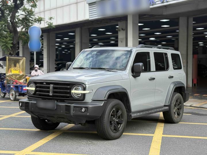 300 2021 Off-road 2.0T