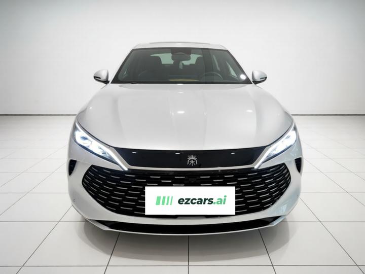 Qin L 2024 DM-i 120KM Excellence photo 2