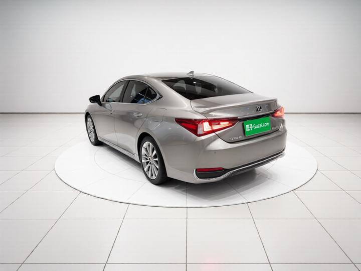 ES 2018 300h Exclusive China VI photo 4