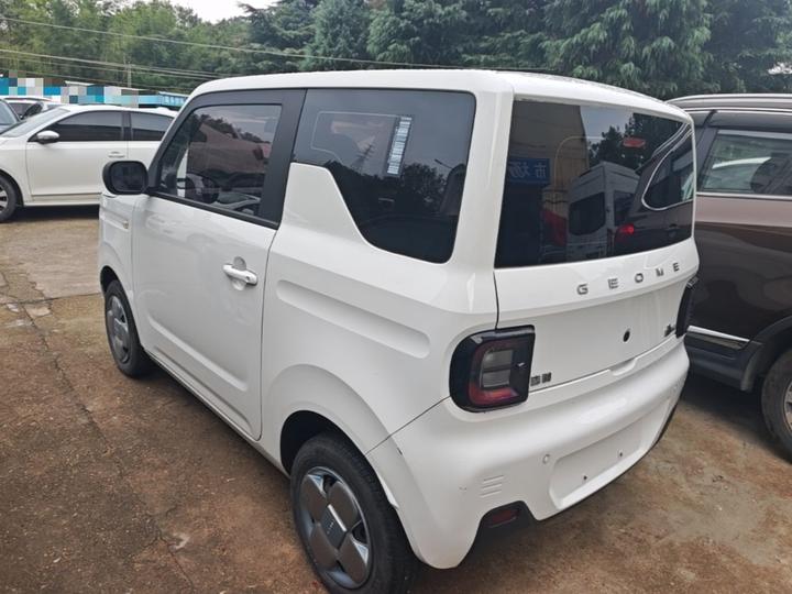 2023 Panda mini 200km Endurance Bear photo 4