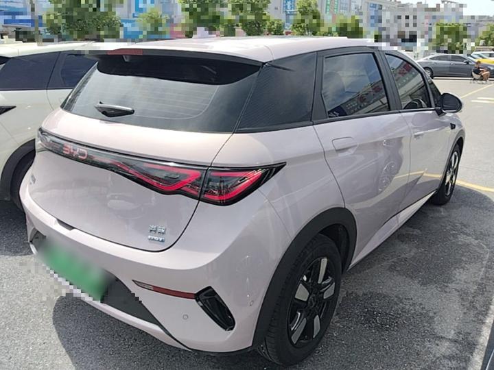 Dolphin 2025 ADAS 410km Fashion photo 4