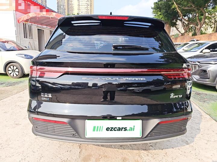 Song Pro EV 2024 Honor DM-i 71KM Pilot photo 5