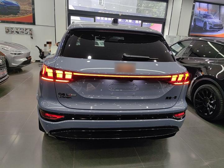 Q6L e-tron 2026 Pilot photo 3