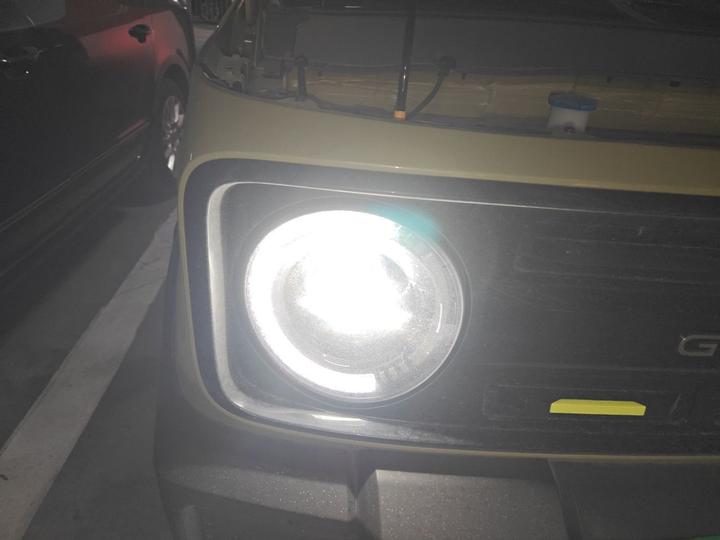 2025 210km Panda photo 7
