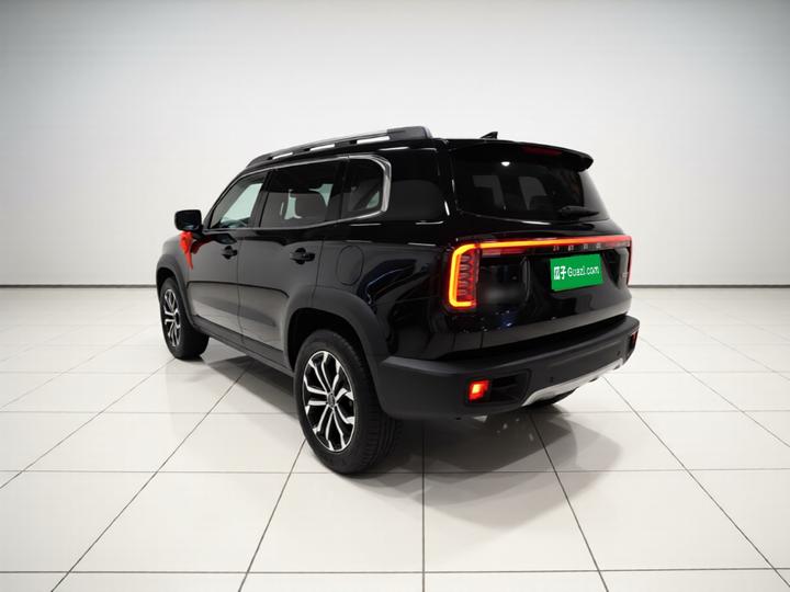 Dargo 2024 1.5T DCT photo 4