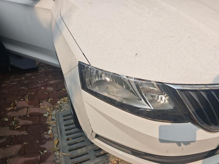 Rapid Spaceback 2018 1.6L MT Standard photo 7