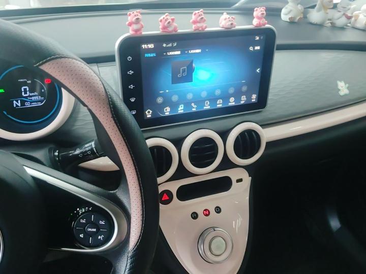 2022 Facelift 301km LFP photo 8