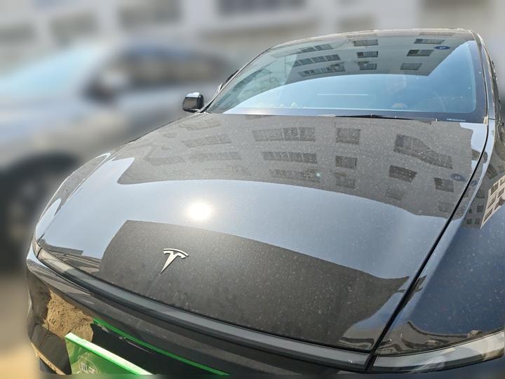 Model Y 2026 RWD photo 2