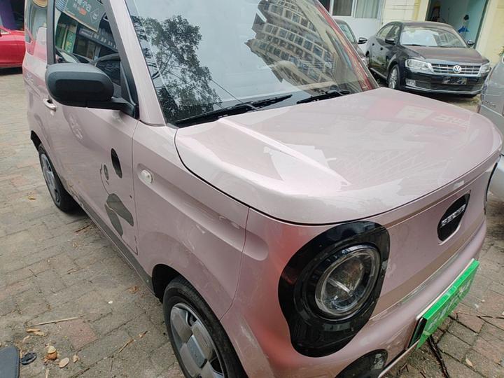 2024 Panda mini 200km Endurance Bear photo 3