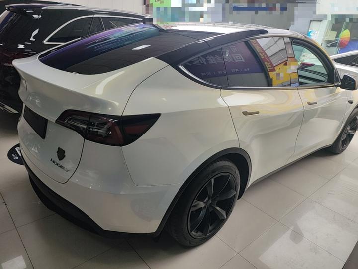 Model Y 2024 RWD photo 6