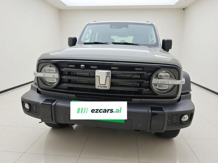 300 2021 Off-road 2.0T Conqueror photo 2