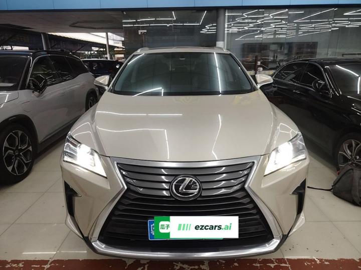 RX 2016 300 RWD Comfort China V photo 2