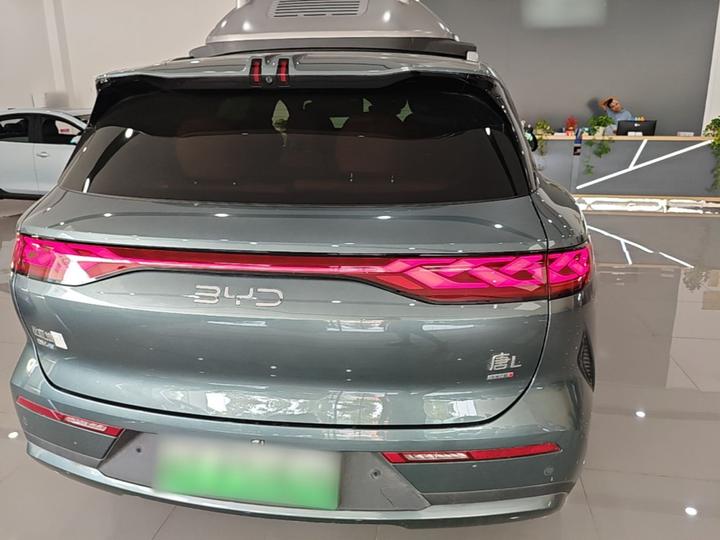 Tang L 2025 DM 175KM photo 3