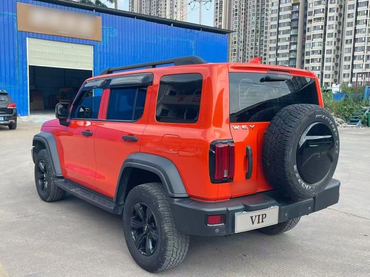 300 2021 Off-road 2.0T Conqueror photo 4