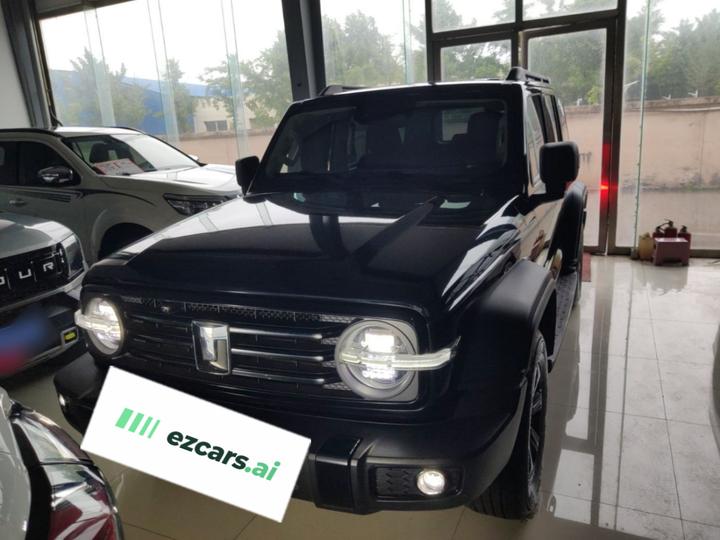 300 2024 2.0T Conqueror photo 2