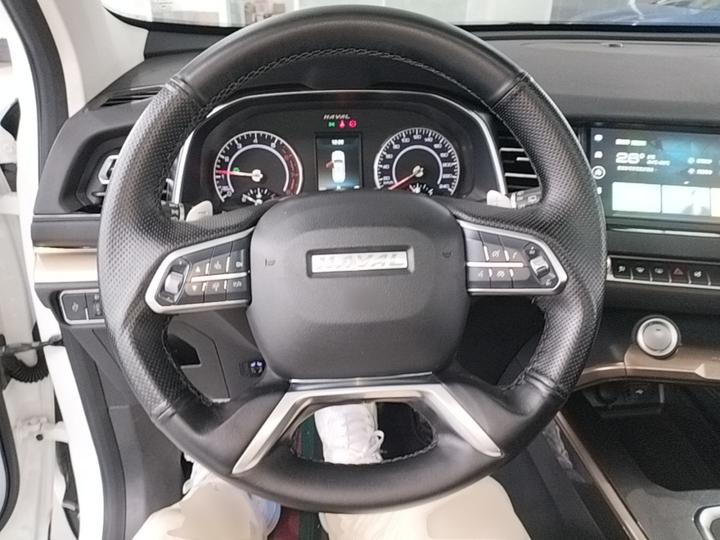 H6 2021 1.5T AT photo 6