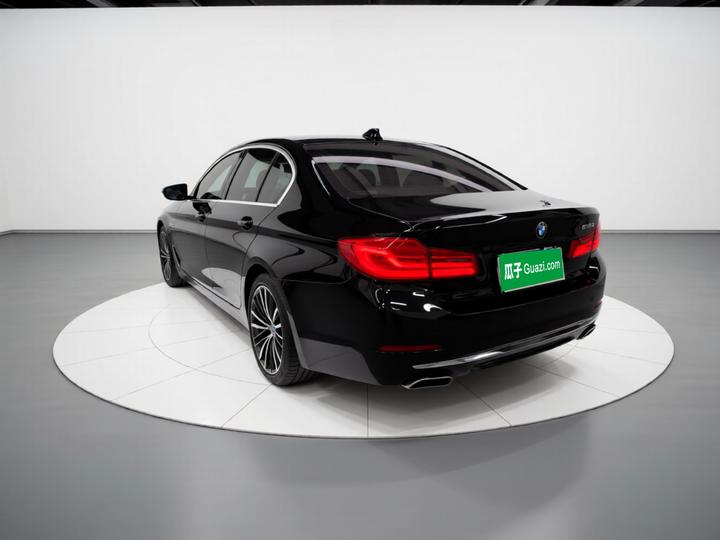 5 Series 2019 Facelift 530Li Exclusive Luxury photo 4
