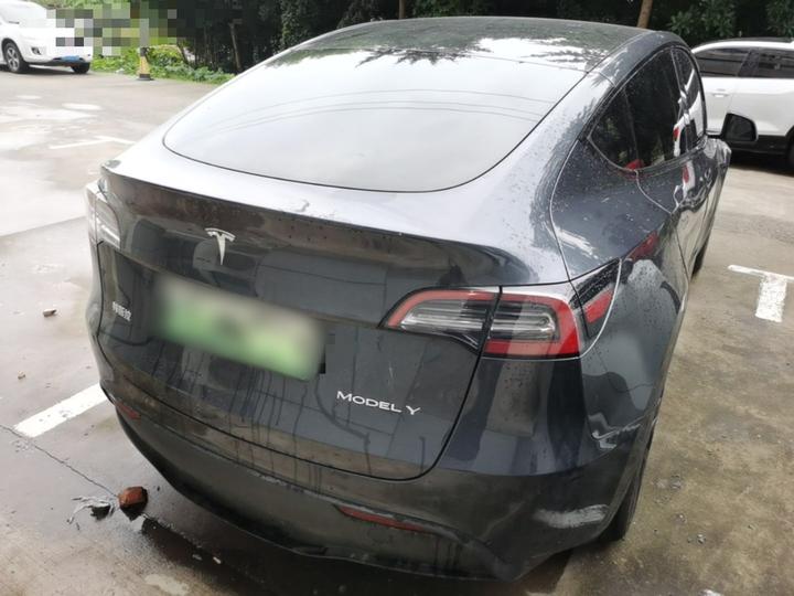 Model Y 2024 RWD photo 3