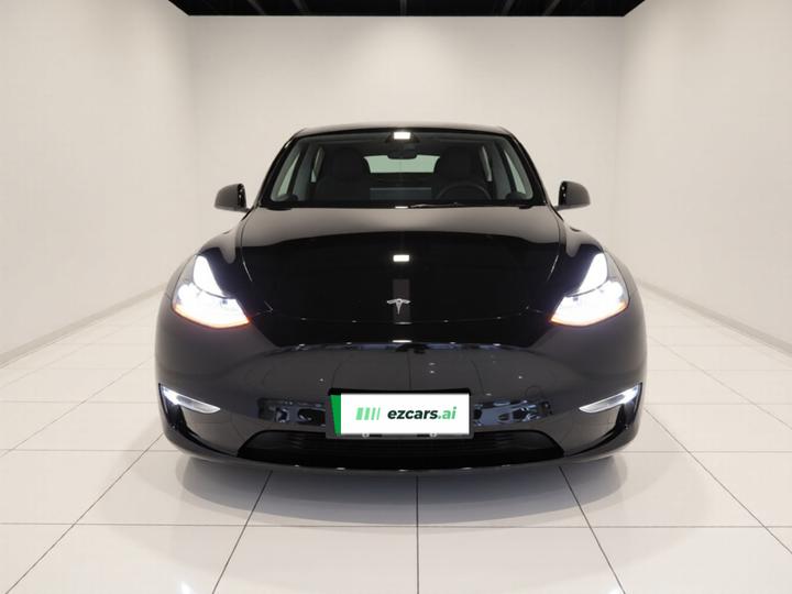 Model Y 2021 Standard Range RWD photo 2