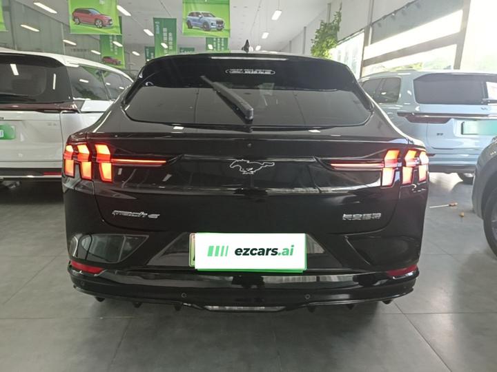 2021 RWD Luxury Long Range photo 3