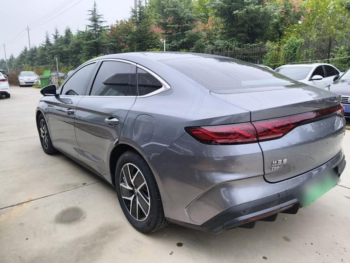 Qin L 2024 DM-i 80KM photo 4