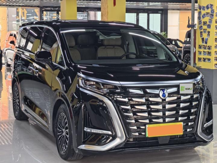 D9 2024 DM-i 980 AWD Noble photo 3