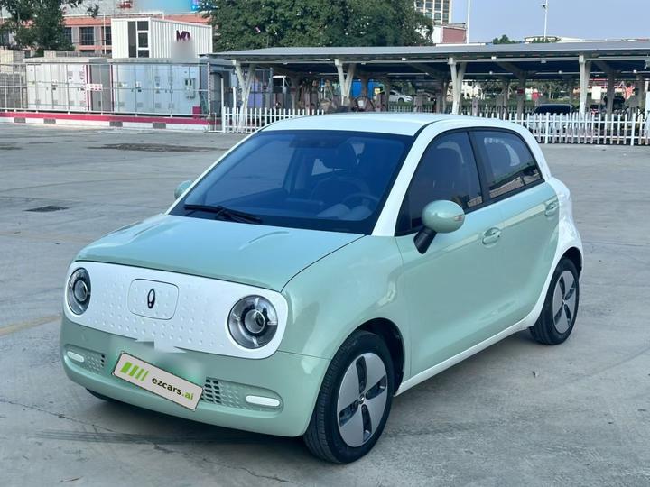 2022 Facelift 301km LFP