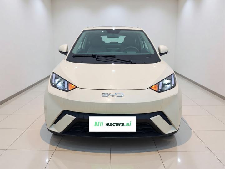 Seagull 2025 305km photo 2