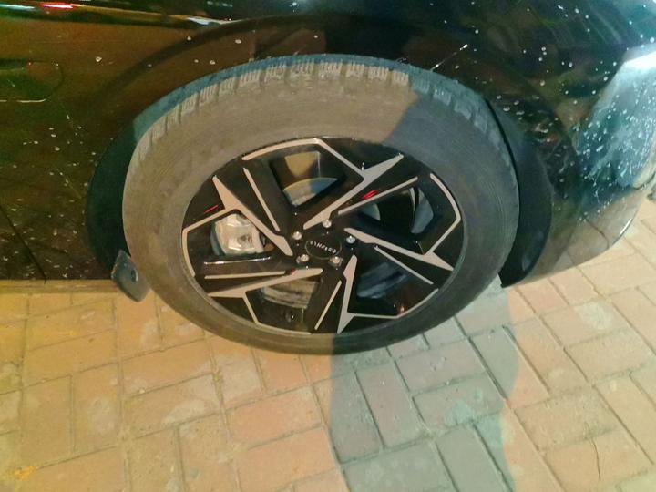 Z10 2024 95kWh 766km RWD Max photo 8