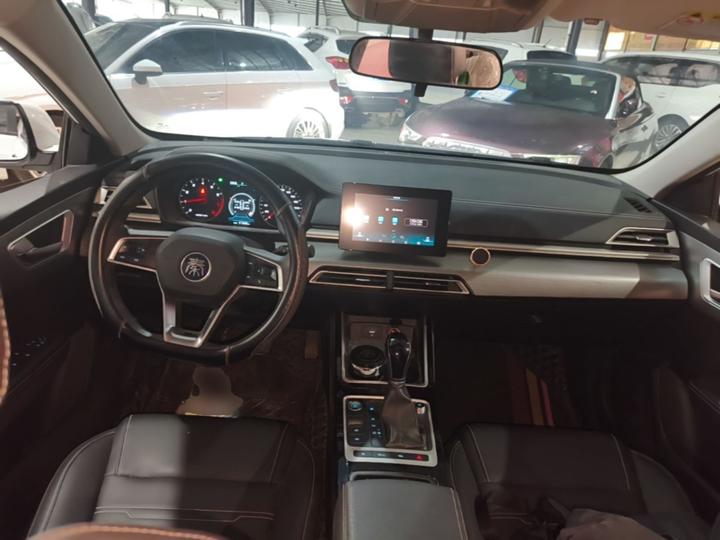 Qin 2019 1.5L AT Luxury photo 5