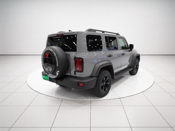 300 2021 Off-road 2.0T Conqueror photo 6