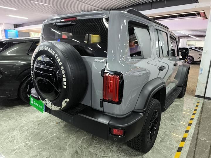 300 2021 Off-road 2.0T Conqueror photo 6
