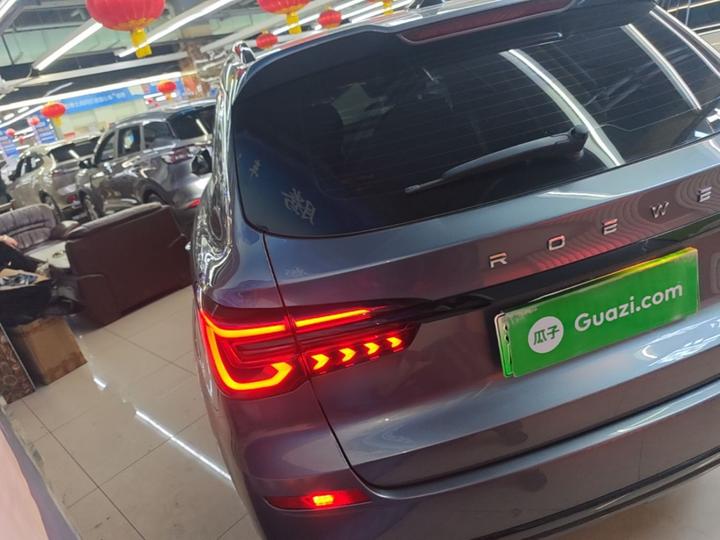 RX5 EV 2020 ePLUS Luxury photo 4