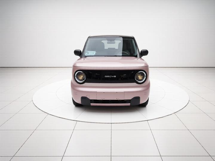 2023 Panda mini 200km Endurance Bear photo 2