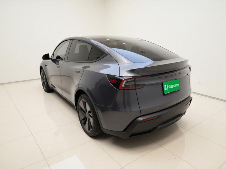 Model Y 2025 Long Range AWD photo 4