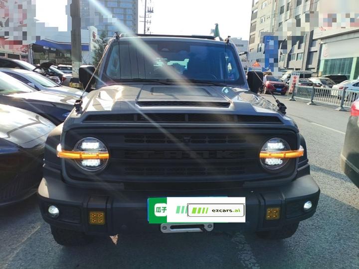 300 2023 Off-road 2.0T Conqueror photo 2
