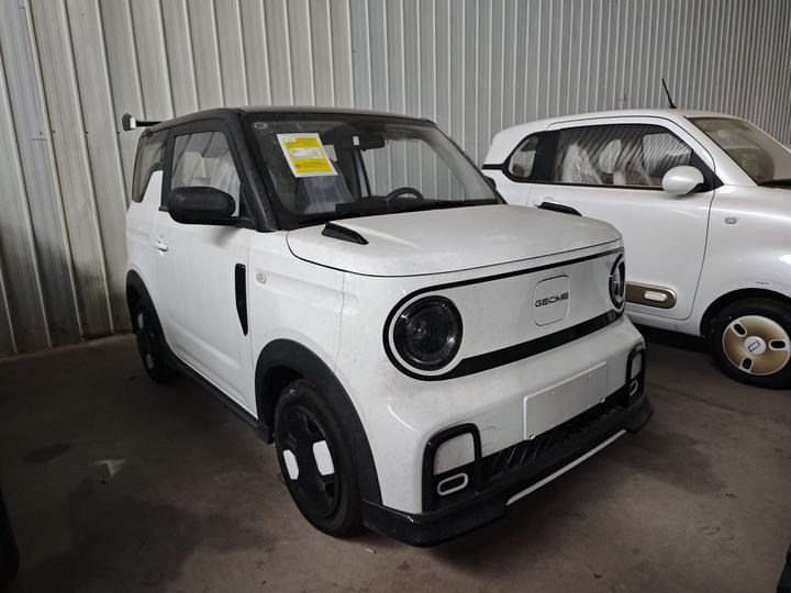 2025 210km Panda photo 3
