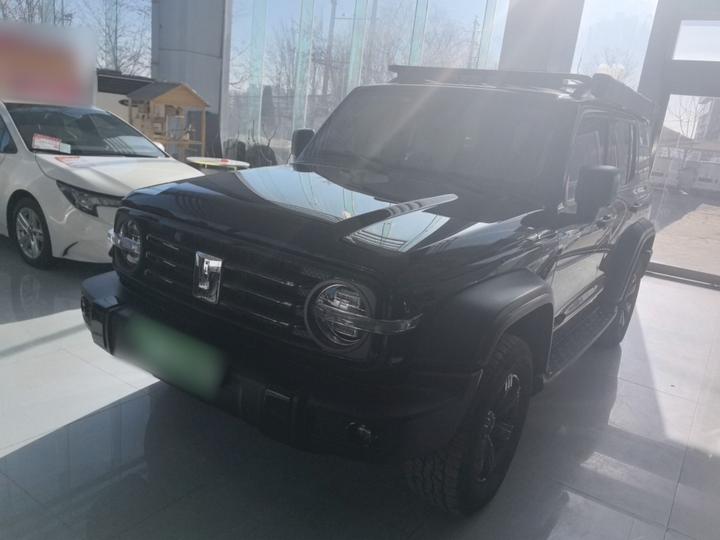 300 2021 Off-road 2.0T Conqueror