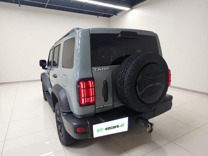 300 2023 Off-road 2.0T Conqueror photo 4