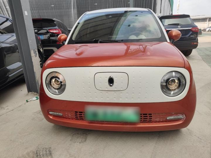 2019 351km photo 2