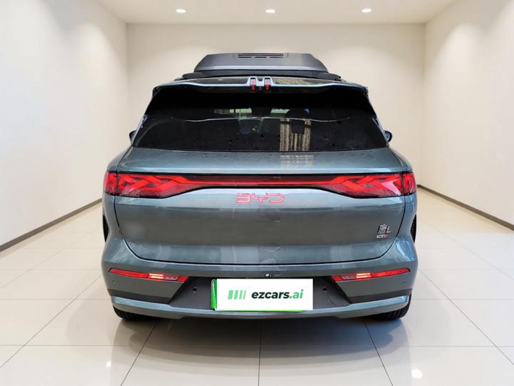 Tang L 2025 DM 175KM photo 3