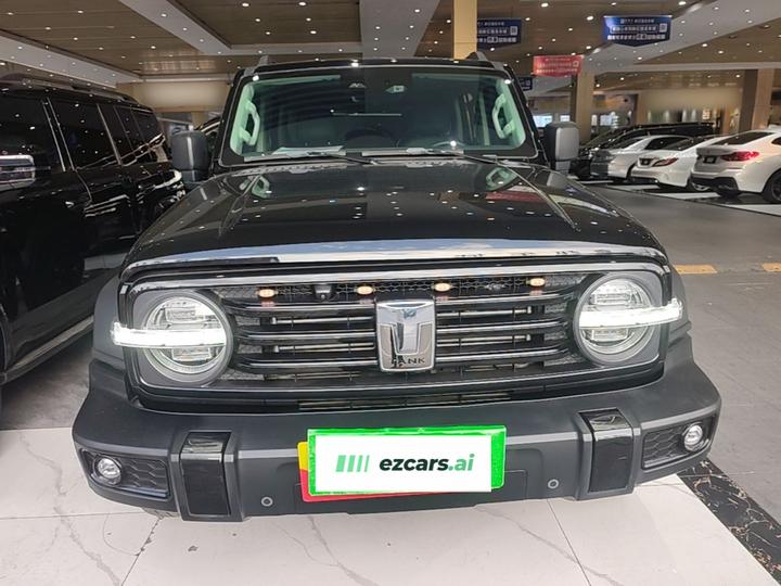 300 2021 Off-road 2.0T Conqueror photo 2