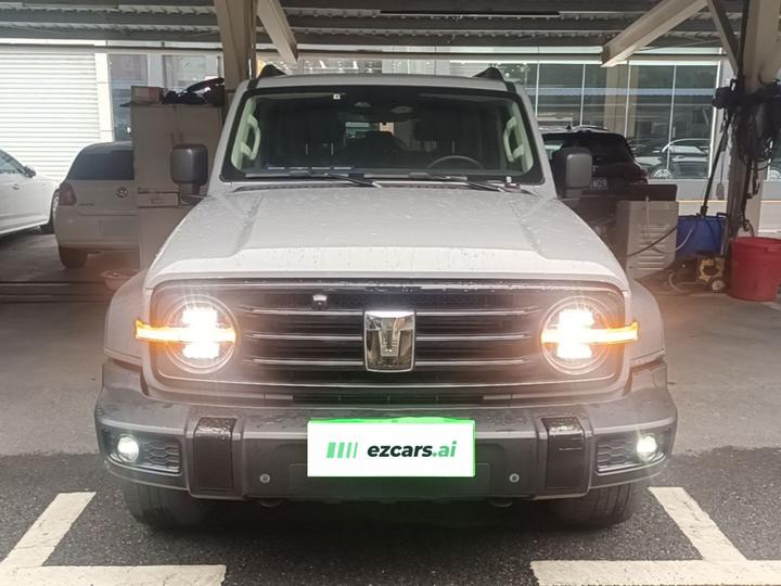 300 2021 Off-road 2.0T Conqueror photo 2