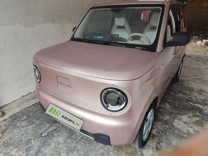 2023 Panda mini 200km Endurance Bear
