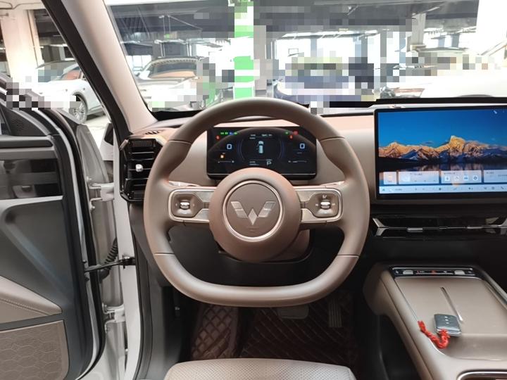 560 EV 2026 125km Luxury photo 6