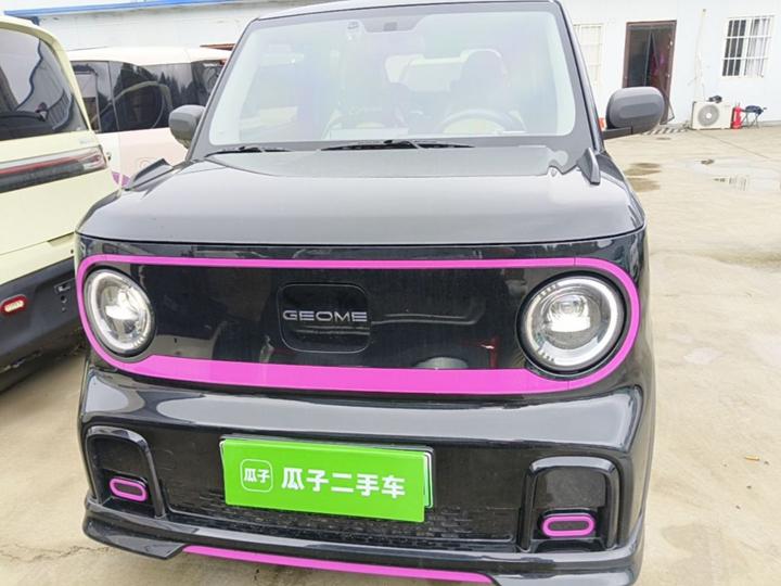 2025 210km Panda photo 2
