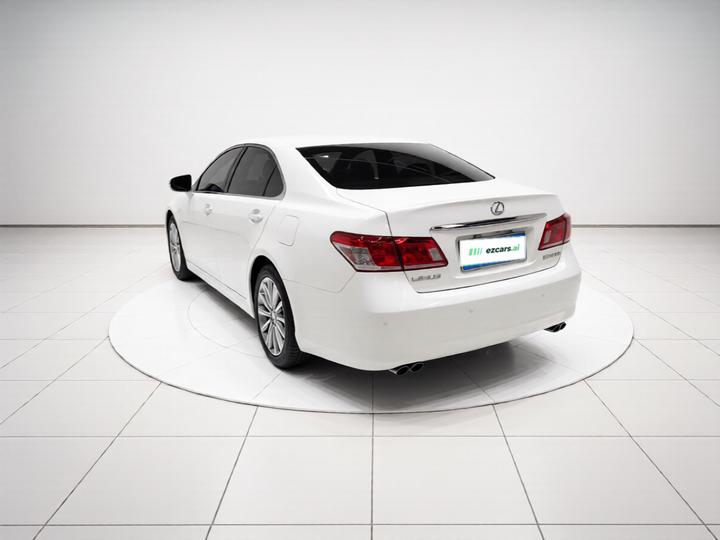 ES 2010 240 Elegant photo 4