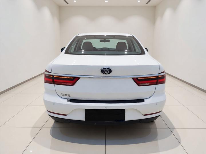 Qin 2019 1.5L AT Luxury photo 3
