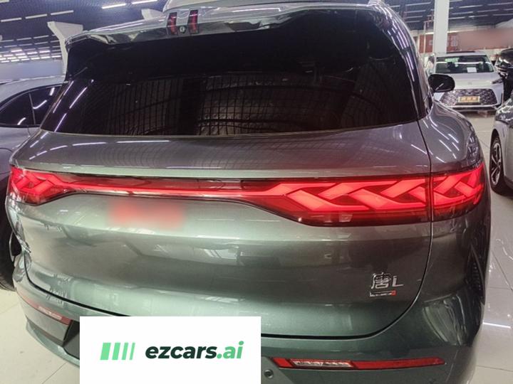 Tang L 2025 DM 175KM photo 3